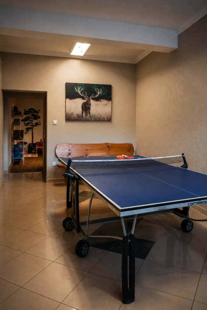 ping pong